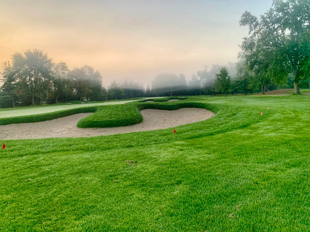 Sean Crogie tweet media