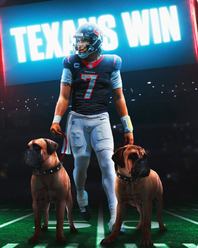 KeirKay144753's tweet photo. Texans advance triumphantly. #WeAreTexans https://t.co/IQUdhIzBpF