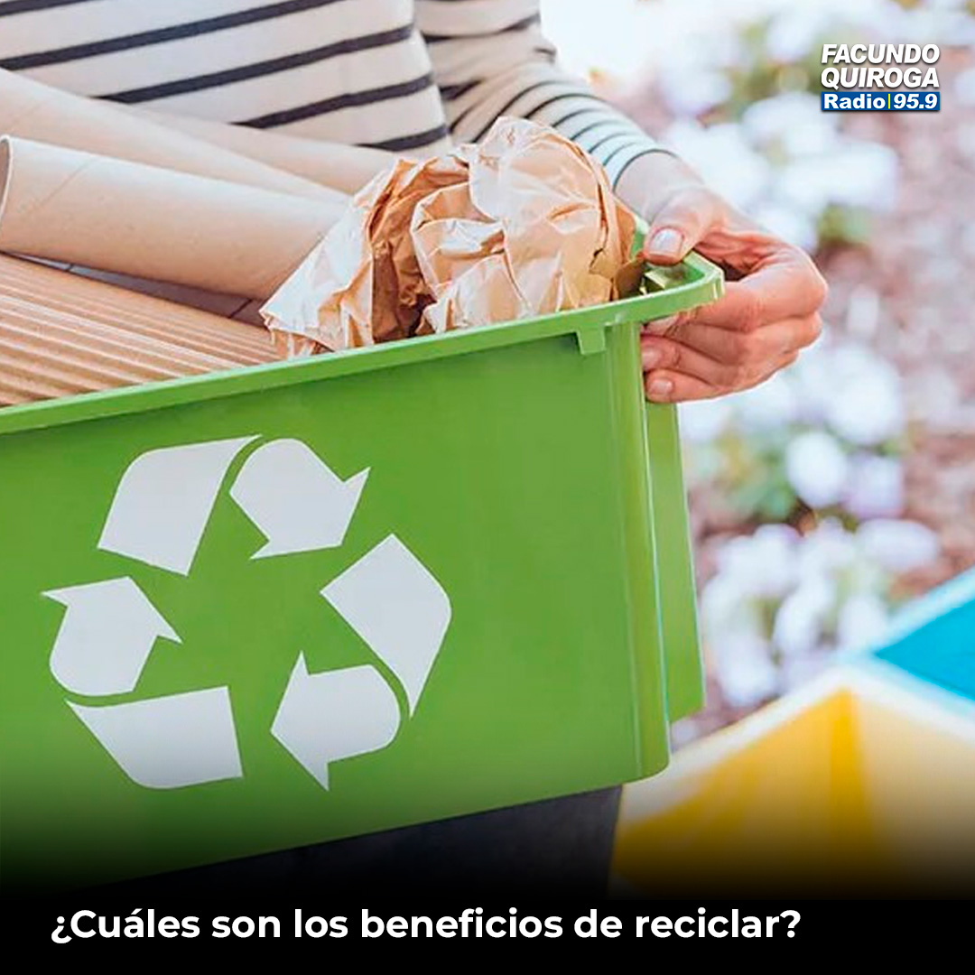 rfacundoquiroga's tweet image. 📣♻️ ¿Cuáles son los beneficios de reciclar?

Lee la nota completa 👉🏻acortar.link/Wvo68L

#ReciclajeResponsable #Sostenibilidad #CambioClimático #RFQ