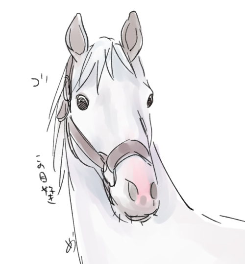 「馬 サイン」のTwitter画像/イラスト(新着)