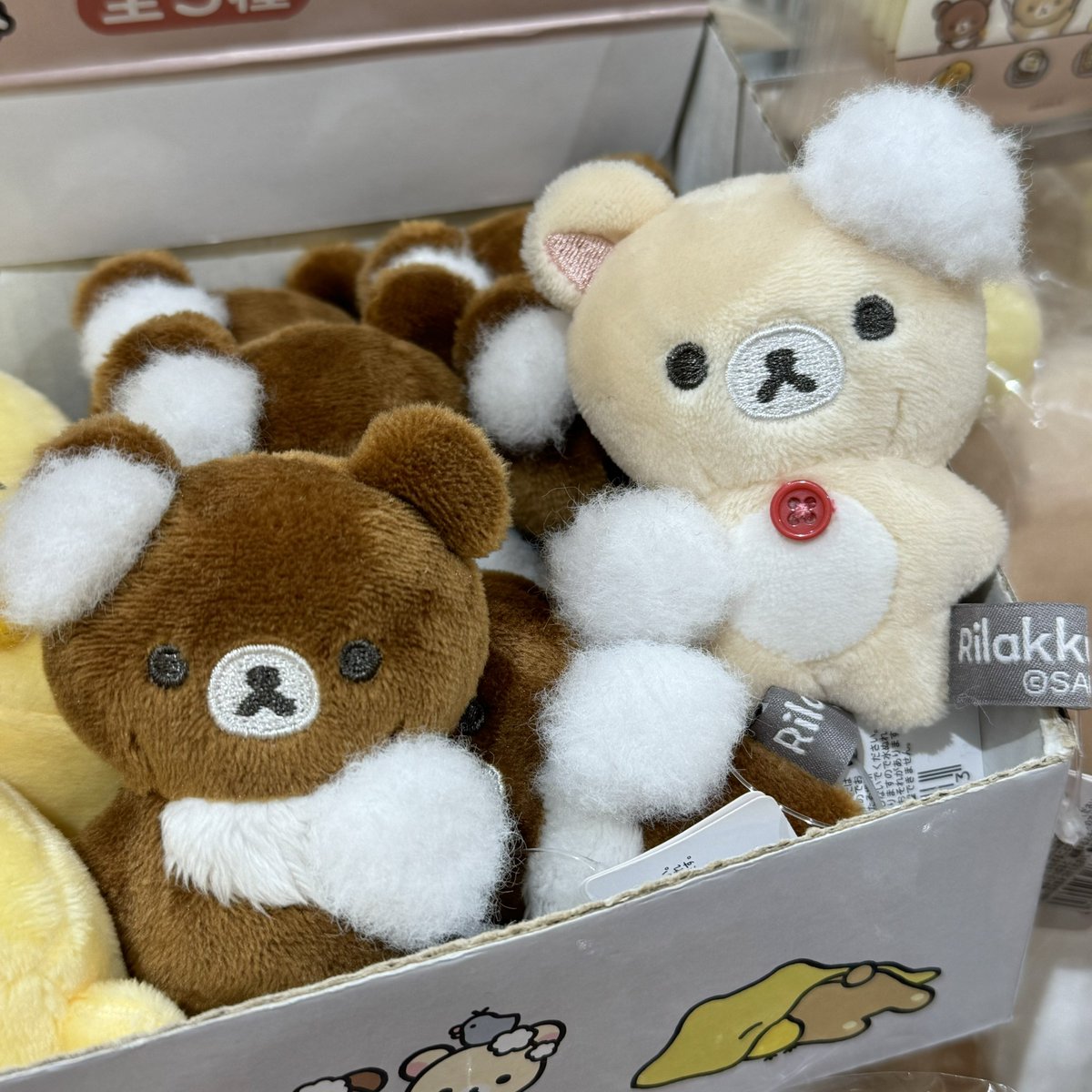 대박 터진 리라쿠마 영접함