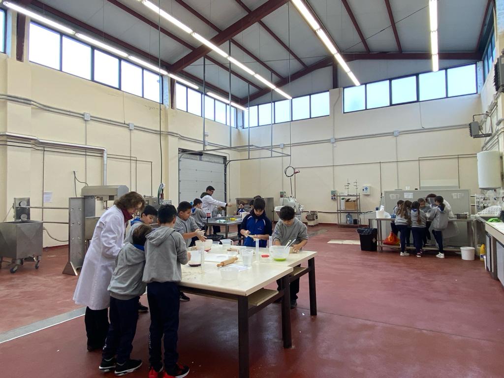 sanjosemaristas's tweet photo. El @IctalUle (Ito. de Ciencia y Tecnología de los Alimentos de la ULe) recibió a nuestros alumnos de #cuartodeprimaria para iniciarles en la ciencia de los alimentos🍏🥖, en la investigación 🧪🌡🔍científica y el conocimiento del sector agroalimentario. ¡Gracias!
#somosmaristas https://t.co/YXn04nwA7g