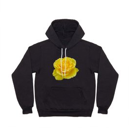 TaicheTees's tweet photo. Beautiful Yellow Rose Closeup Isolated on White #AcrylicBox #taiche #Society6 #yellowrose #rose #flowers #roses #yellow #yellowroses #nature #flower #yellowflowers #flowersofx #photography #naturephotography #love #flowerphotography #garden #rosegarden https://t.co/qjsEReT6Yp https://t.co/10AI9PzheC