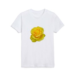 TaicheTees's tweet photo. Beautiful Yellow Rose Closeup Isolated on White #AcrylicBox #taiche #Society6 #yellowrose #rose #flowers #roses #yellow #yellowroses #nature #flower #yellowflowers #flowersofx #photography #naturephotography #love #flowerphotography #garden #rosegarden https://t.co/qjsEReT6Yp https://t.co/10AI9PzheC
