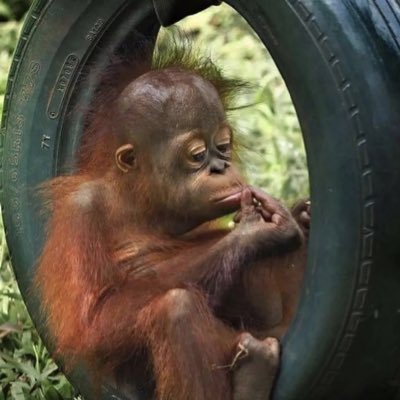 n___1502's tweet photo. #NuevaFotoDePerfil https://t.co/Vlxw5ta95F