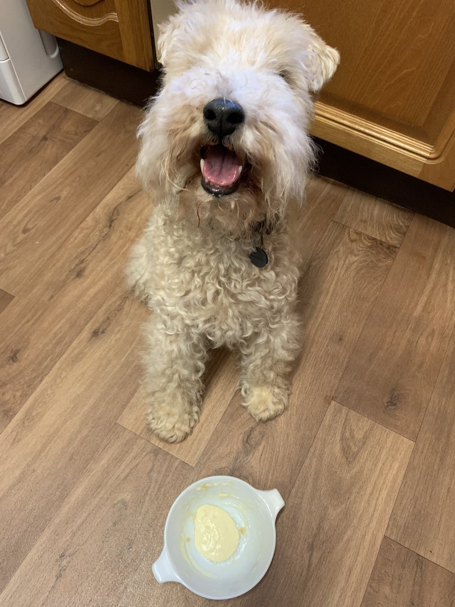 StanleyLakeland's tweet photo. Visiting my Mamma π Chicken Sunday dinner followed by custard yummy π Love Mamma π and Iβve washed up #cleanbowl π https://t.co/UPKQEhaKZN