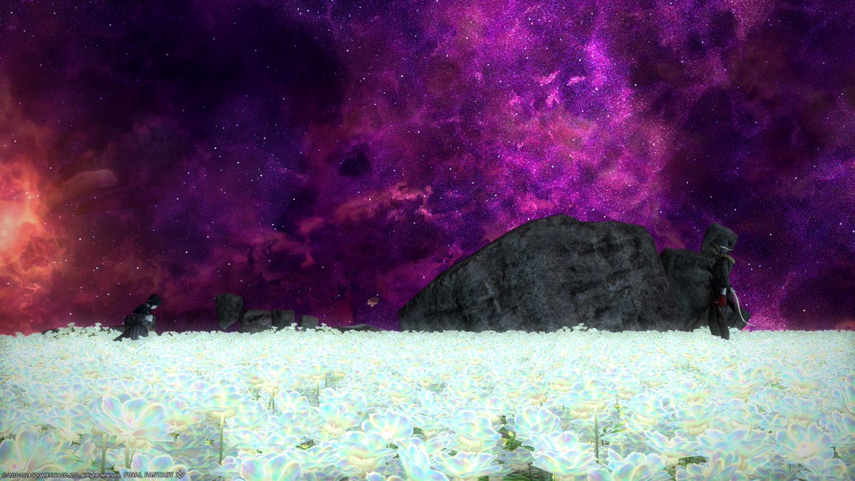 Cheryl-Anne tweet media