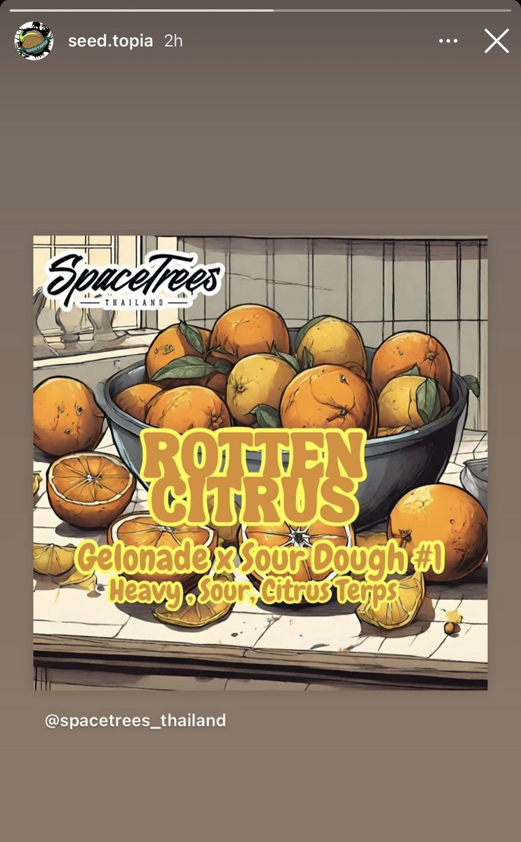 Offensive Selections (@offensiveslctns) on Twitter photo 