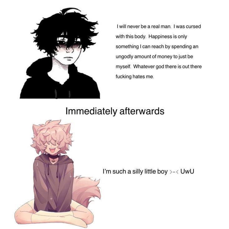 Daily Femboy Memes tweet media