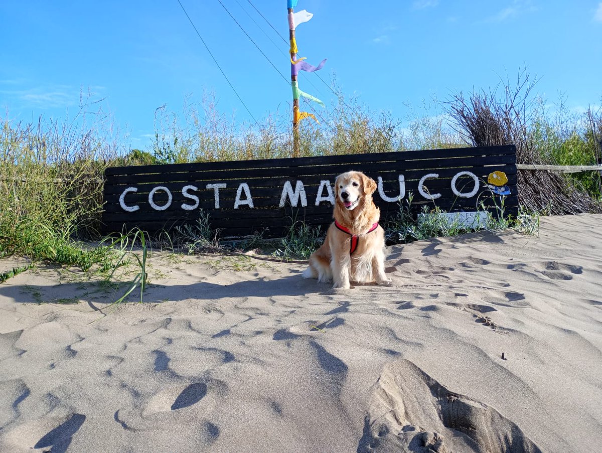 vpcortez's tweet photo. @todonoticias 
#ESTEFINDE
Yo soy Sofía desde San Clemente en modo vacaciones 🌊 🌊🌊
Besos a todo el equipo 😘😘😘 https://t.co/O11k6RB1rX