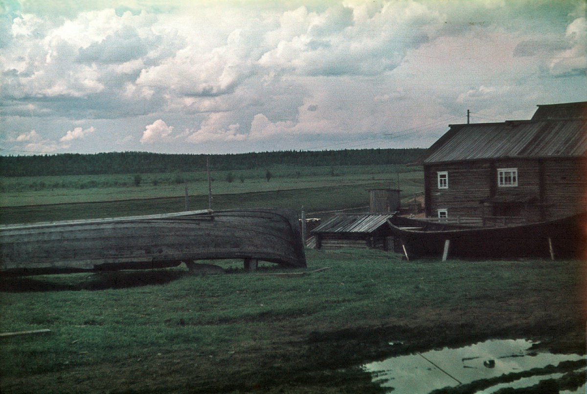 01⠀วัยเด็ก.⠀

ตัวเธอและพี่น้องอีกสี่คนใช้ชีวิตอยู่ในบ้านฟาร์มปศุสัตว์ รายล้อมด้วยทุ่งกว้างสุดลูกหูลูกตาห่างไกลจากความวุ่นวายในเมืองใหญ่

ครอบครัวรักกลมกลืนเหมือนดั่งครอบครัวทั่วไป — มันคงจะเป็นอย่างนี้อยู่ต่อไปถ้าหากมันไม่เกิดเหตุการณ์คืนนั้น