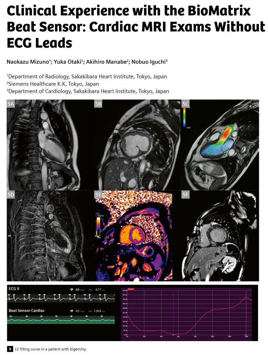 Antje Hellwich @antjehellwich.bsky.social tweet media