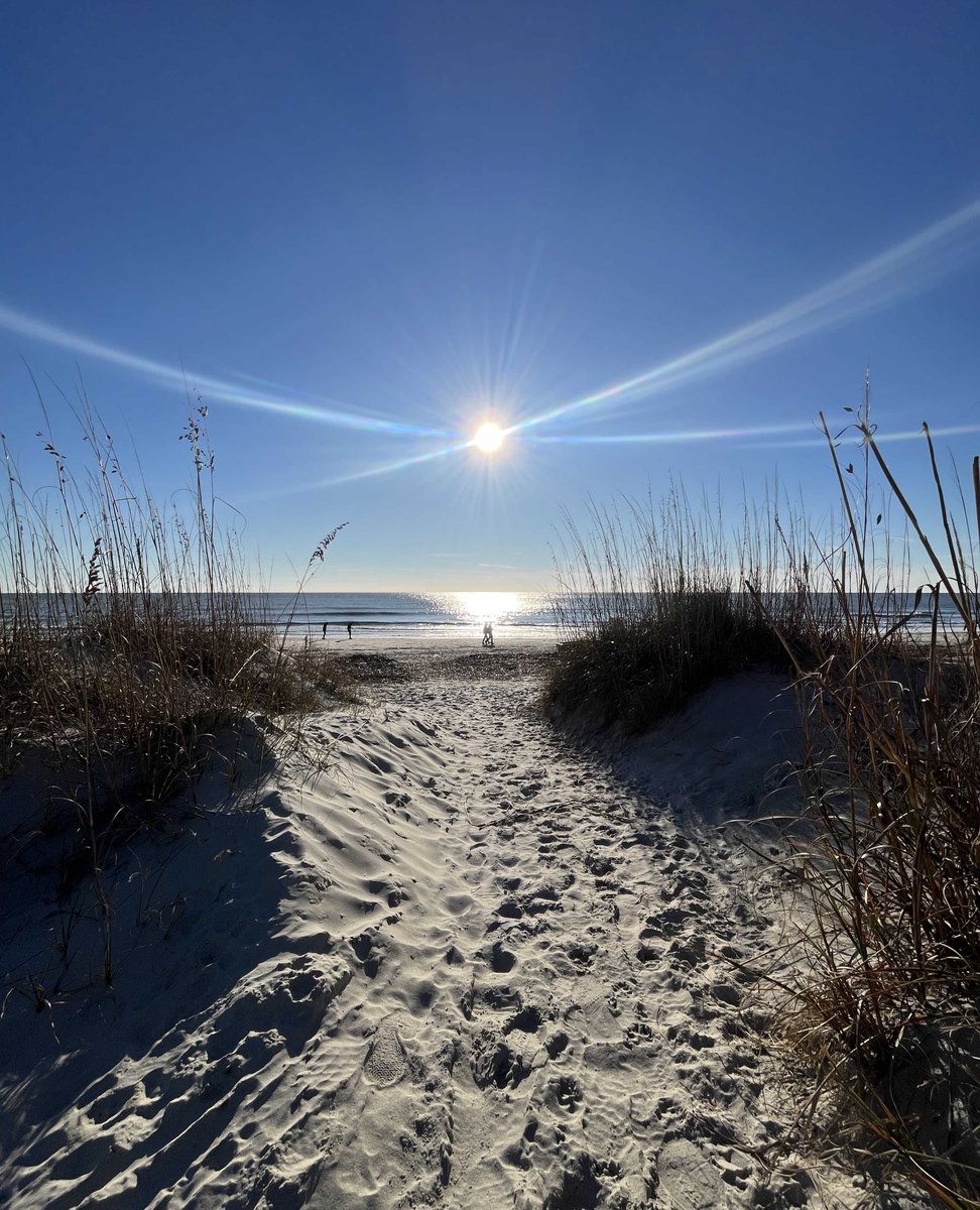 We'll never get over these beautiful Hilton Head views. 💛

Retweet if you're excited to visit the island this year! 🌴