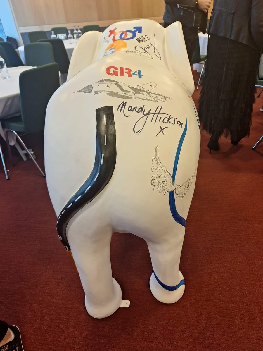 ElephantIn2022's tweet photo. So many incredible people support our movement
@MandyHickson #charlieengle @PendulumSummit @RealBrentPope @DaveSouthern15 #eitrm https://t.co/L3yG73inn3