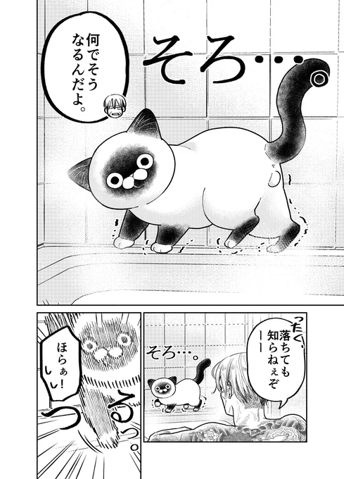 元極道と野良猫がお風呂に入る話。  (2/3)  #漫画が読めるハッシュタグ