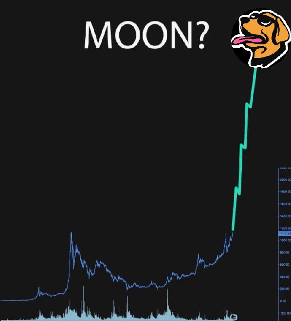 Wen moon? $WOOF #WOOFGANG