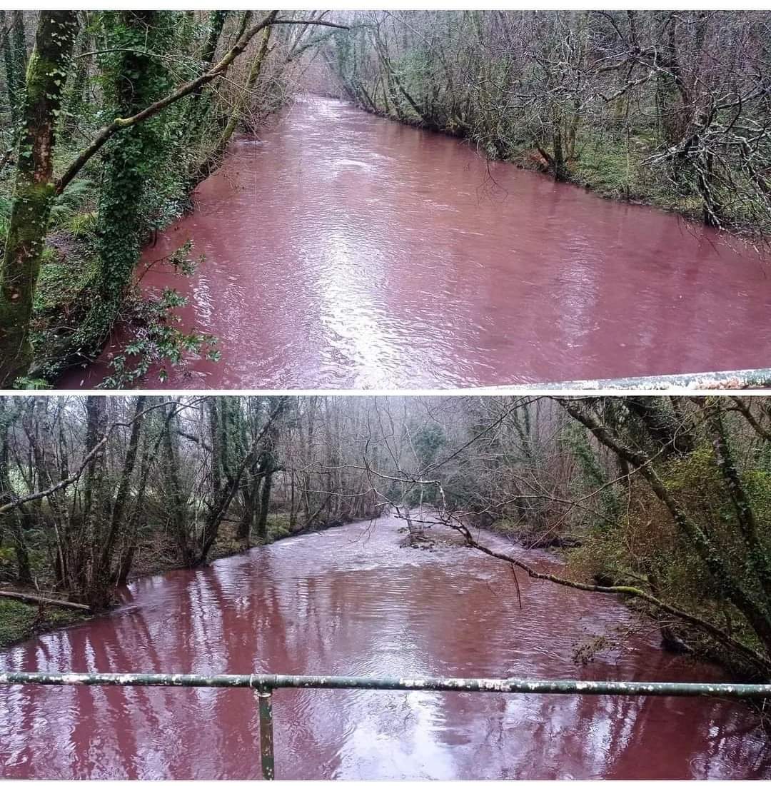 OTaranho67's tweet photo. e que se combata de forma contundente estas verteduras. Terán o noso apoio e esforzo para logralo" https://t.co/keMkokcuVQ