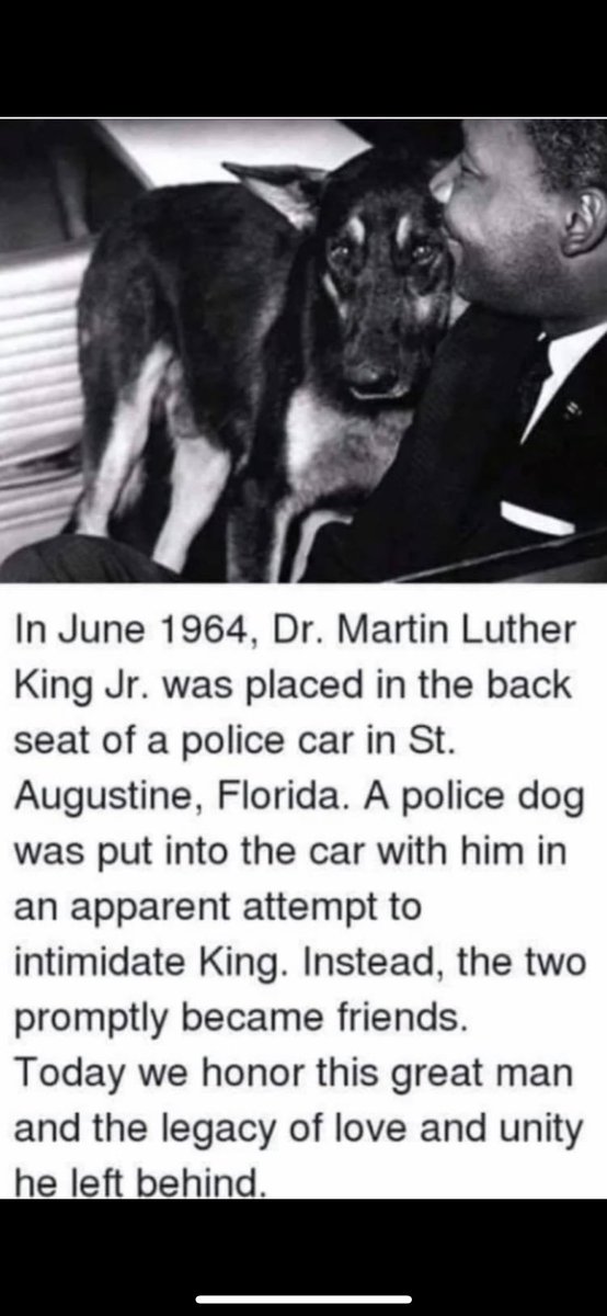 #MLK