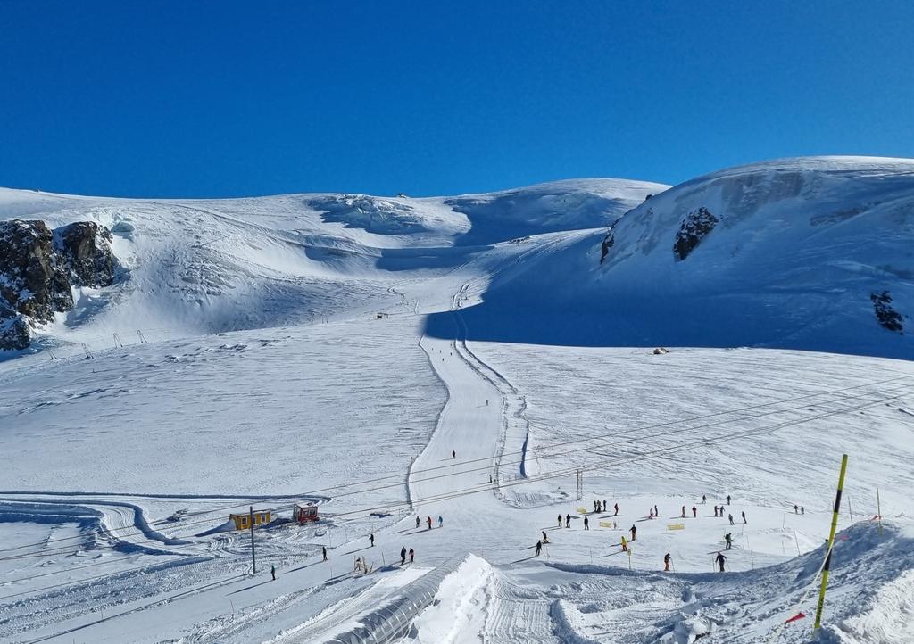 Roel van den Bekerom tweet media