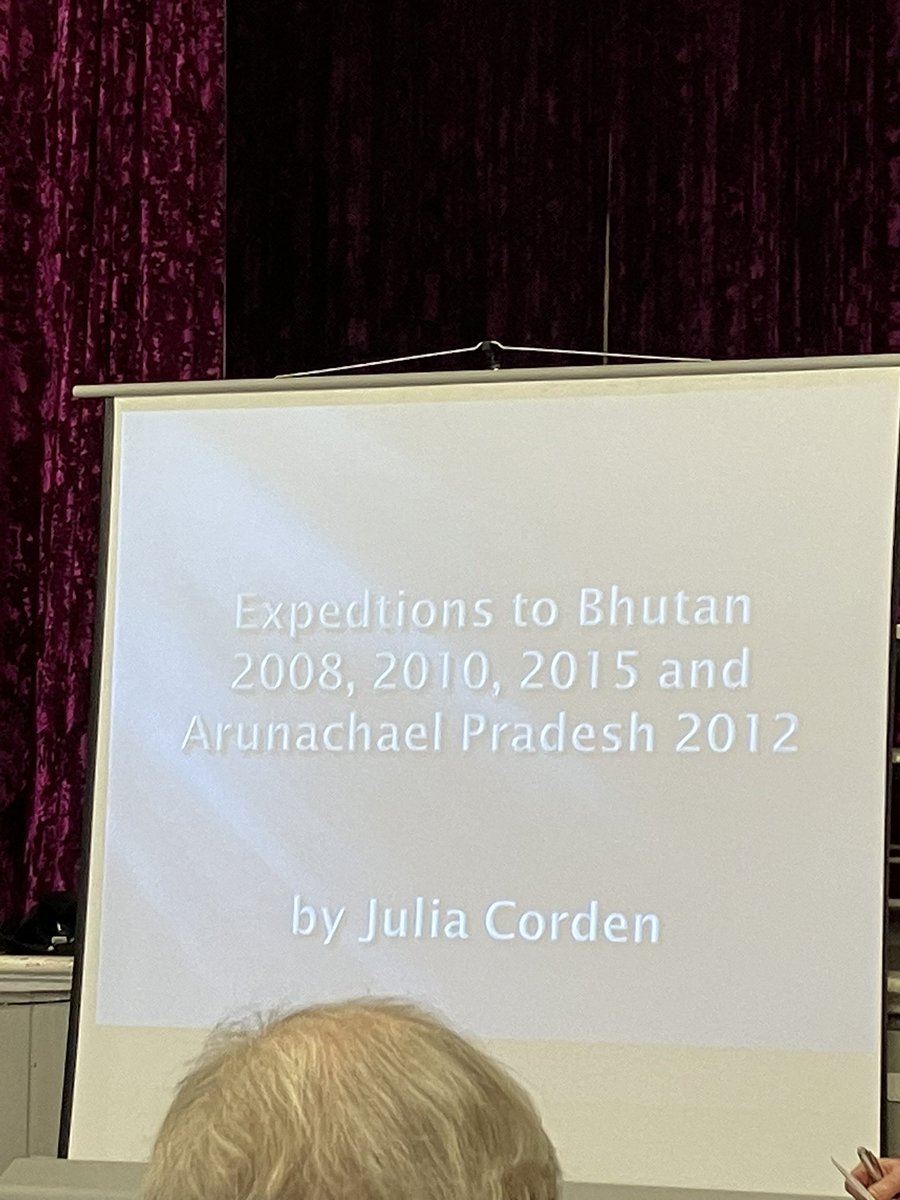 Katie Benallick tweet media