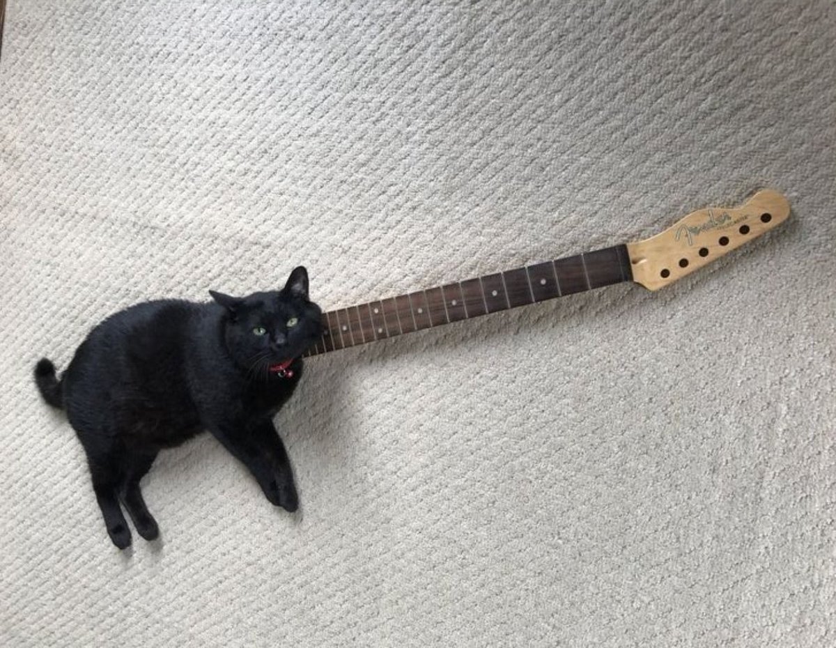 here comes the solo