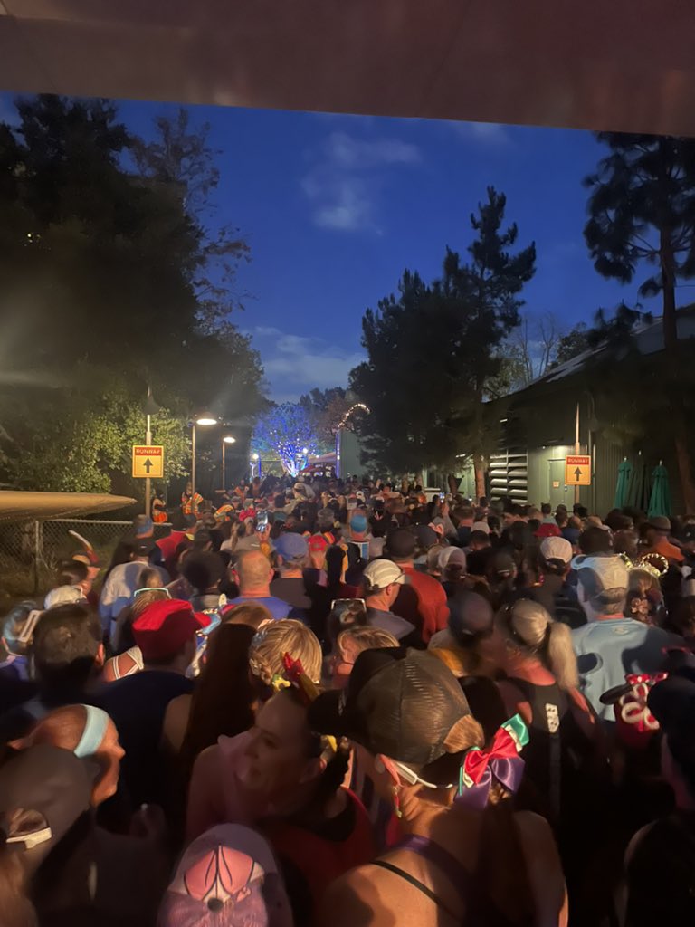 GooD様 David O'Connell (@DOCFX13) / Posts / X