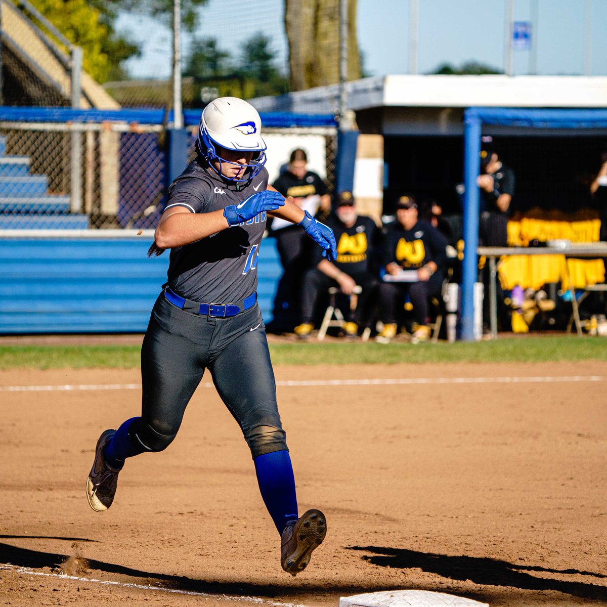 Next up in our Meet the Freshmen: Gabby Sultan

Position: Catcher / OF
From: Ashburn, VA
High School: Broad Run
Major: Exercise Physiology

#PrideOfLI 🦁