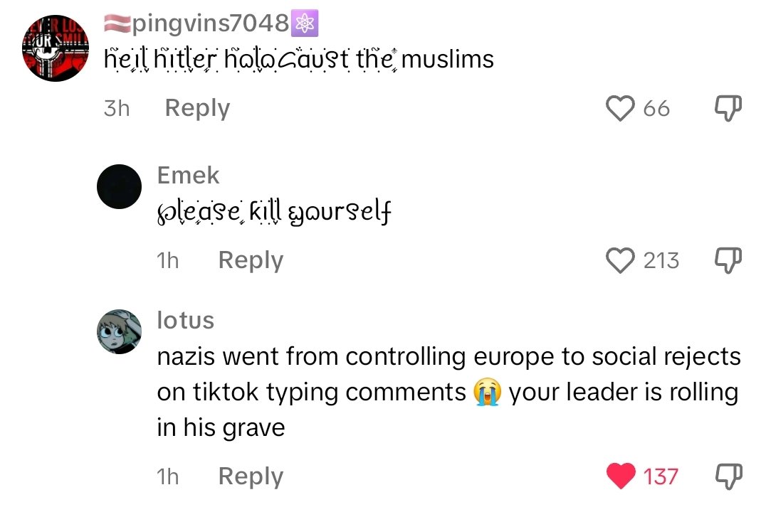 I cannot express the love I have for TikTok comments