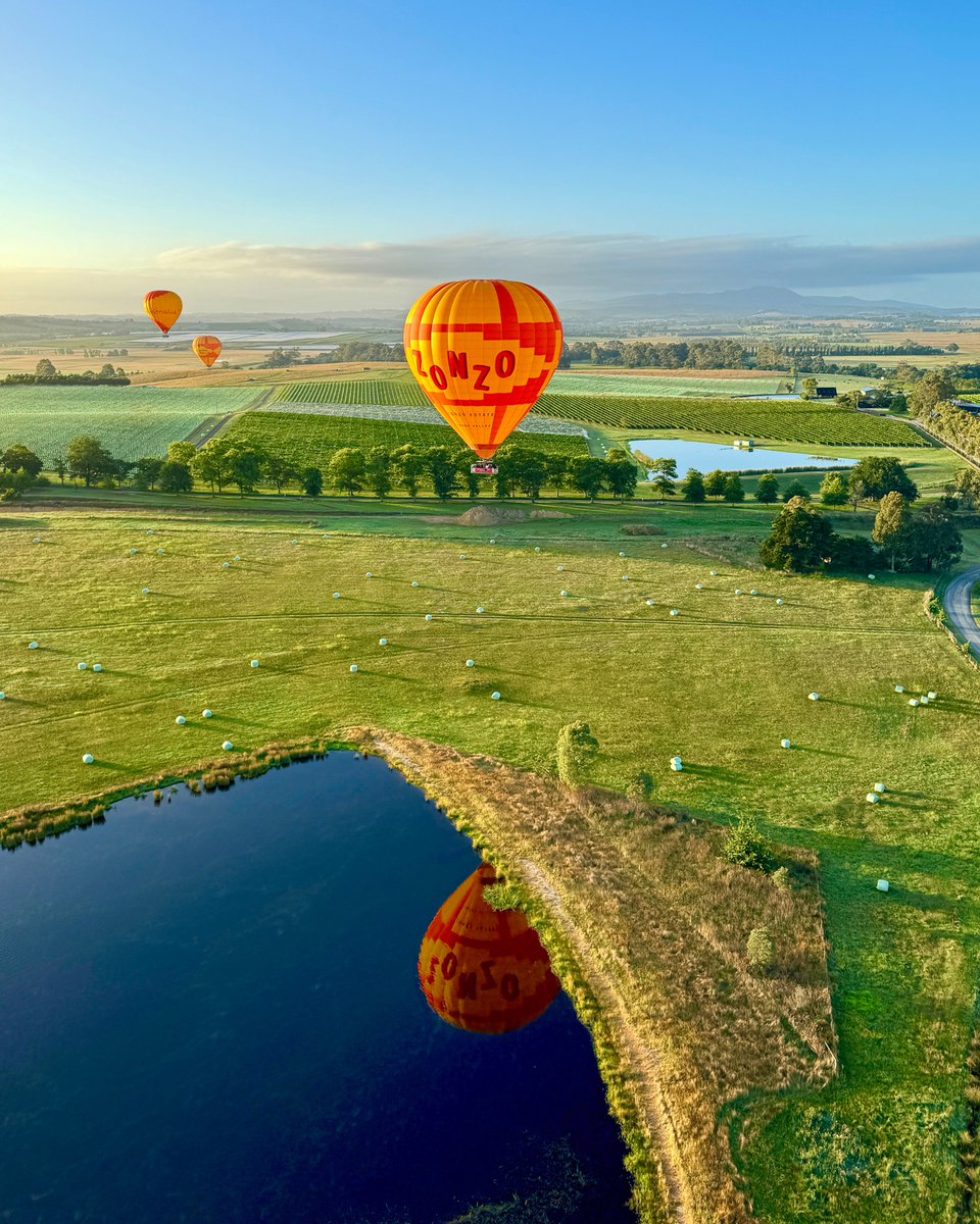 ⚠️ Perfect weather alert ⚠️ The Yarra Valley is showcasing ideal flying conditions THIS WEEK! ☀️ Seize the moment with our midweek special – only $320pp! Head to the link in bio for the Valentine's Day Sale and book now 💕 #globalballooning  globalballooning.com.au/?utm_content=s…