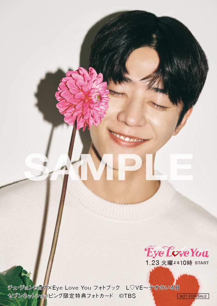 希少 美品 Eye Love You チェ・ジョンヒョプ ラッコ ネックピロー 希少 美品 Eye Love You チェ・ジョンヒョプ ラッコ ネックピロー