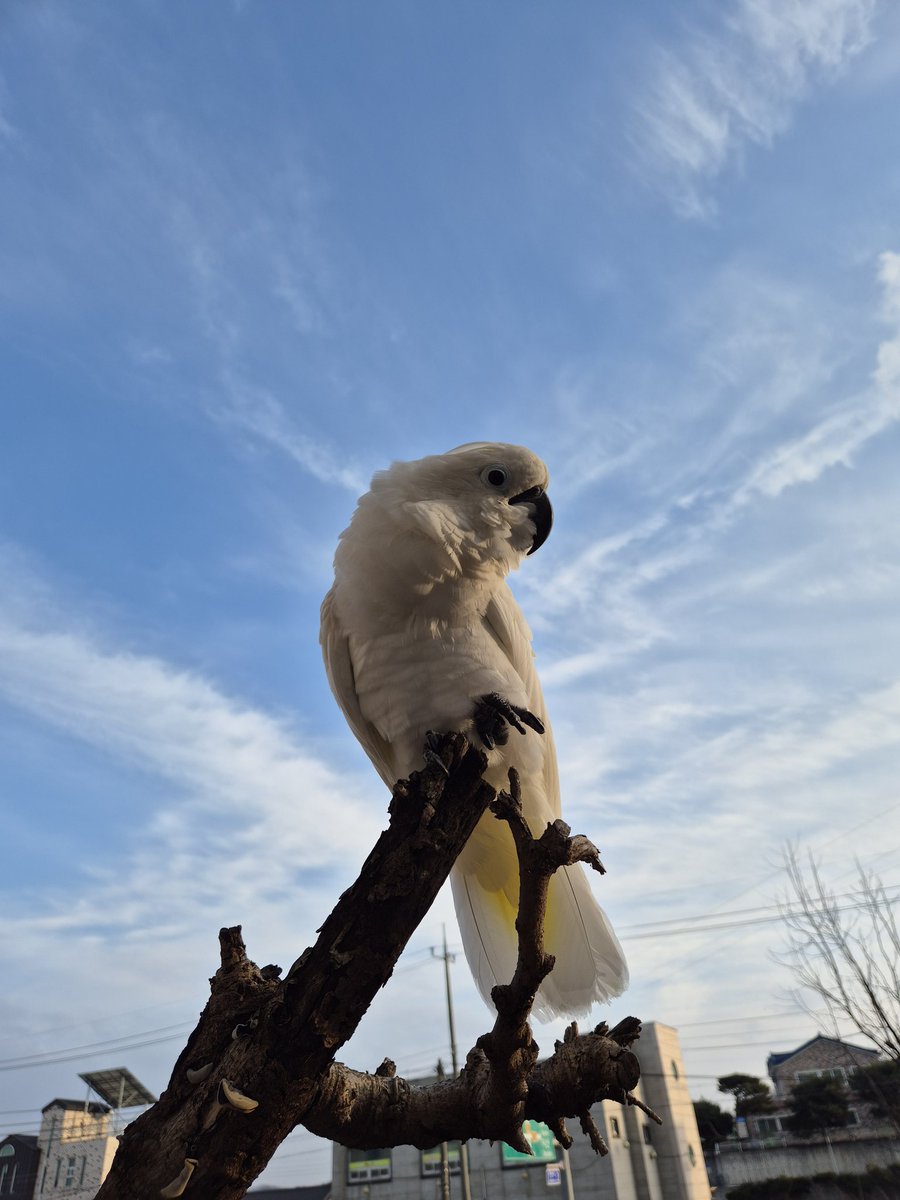 하..오랜만입니다!! 제가 등장했습니다!! 저희아이들 더 이뼈졌죠??