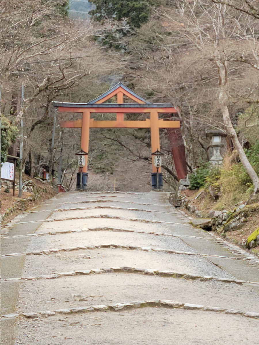 ian_hiro's tweet photo. https://t.co/cYJqJ8eUpo