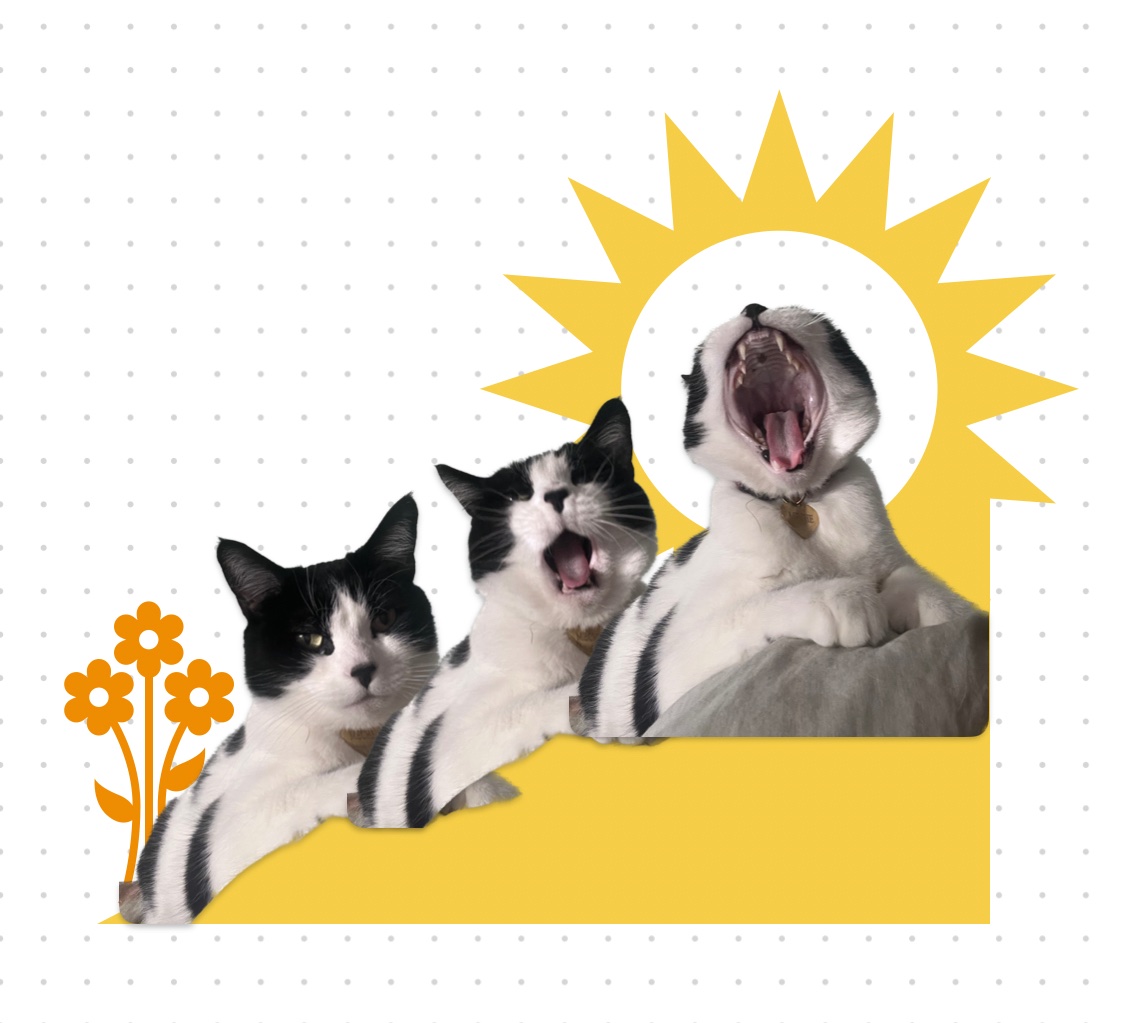 「been making collages on my phone for fun」|Louie Zongのイラスト
