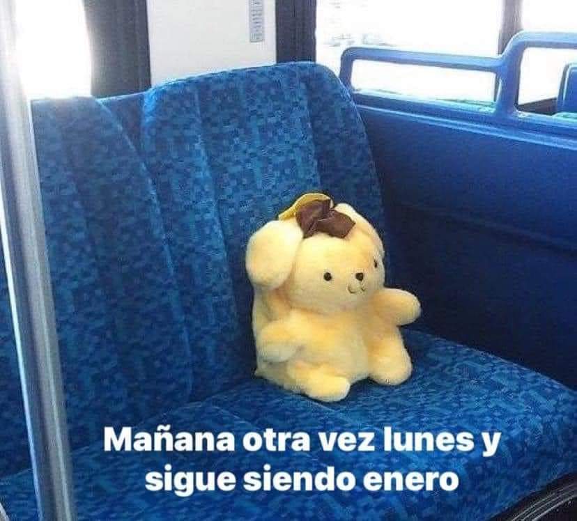 Raqueeeeel_'s tweet photo. ... https://t.co/jMFMqKwN08
