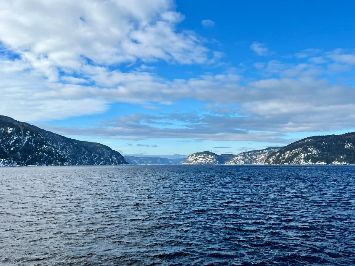 Sophie Pérusse ❤️🇨🇦🤍 ~ 💙🇺🇦💛 ~ 🤍🇬🇱❤️ tweet media