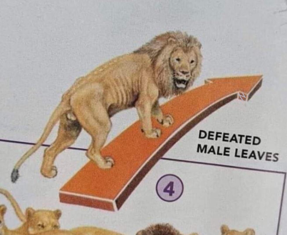 Eric (No Longer Miserable) tweet media