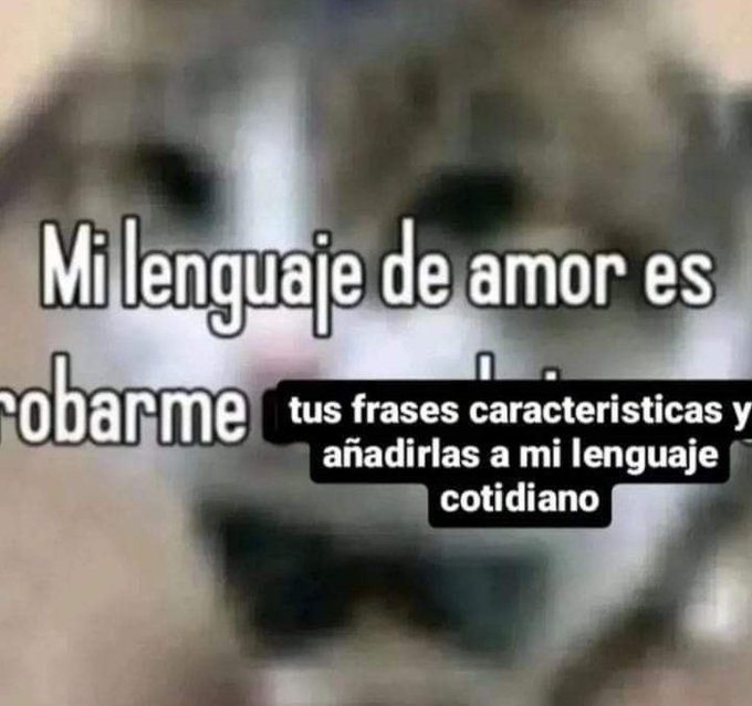 frigosouul's tweet image. 