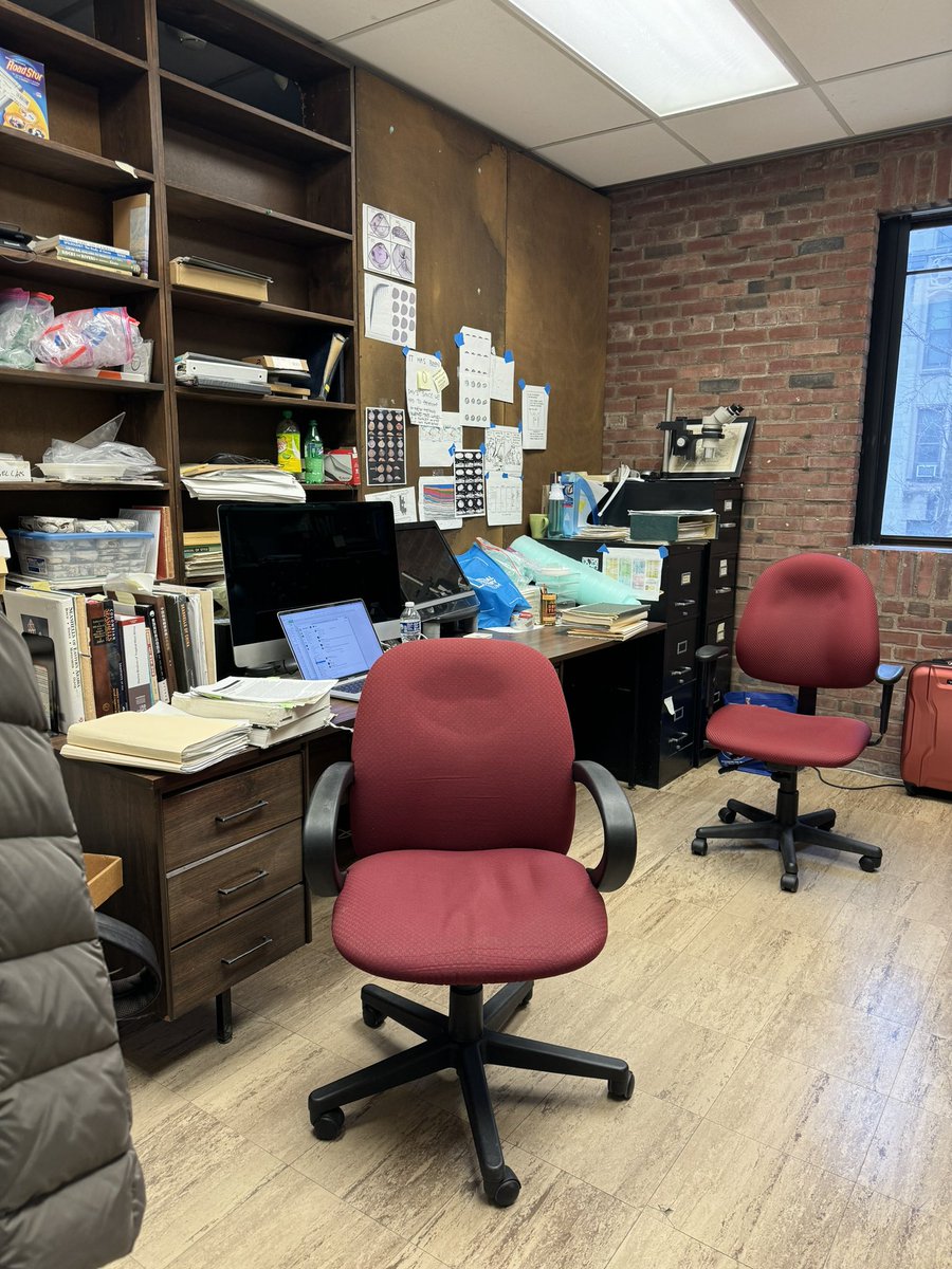 My field site for the next two weeks. Much like anyone else’s fieldwork, limited email access, sorry (not sorry)! (PS, It’s the best time to come to Chicago — my flight was very empty 😅)