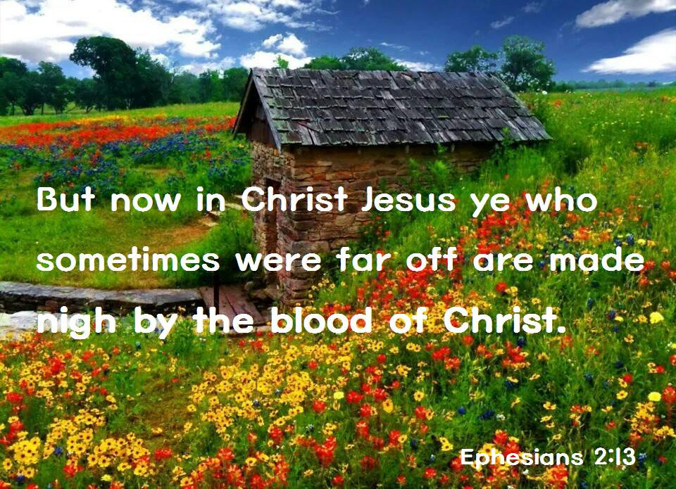 But now in Christ Jesus ye that once were far off are made nigh in the blood of Christ. @beth7_b @gracegabba @gamyushi12 @apostledavid @yahusha_is_king @stxnom @pistol480 @dulleytopbooks @willpray_foryou  @cheatagirl100 @ymmauthor @810100jn @donatalueck