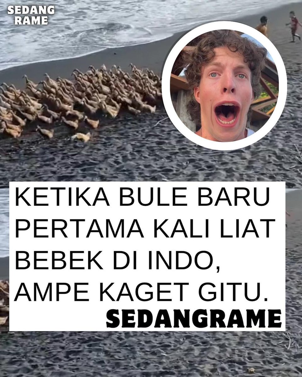 sedangrame_id's tweet photo. Kumaha Barudak🤣 https://t.co/hMN41IcyGa