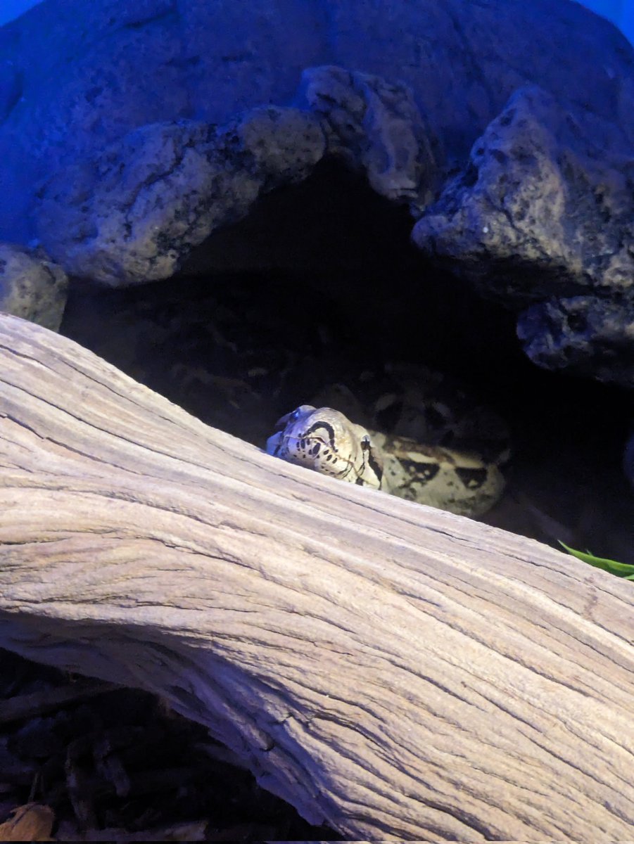 Milfy 🌻☮️ tweet media