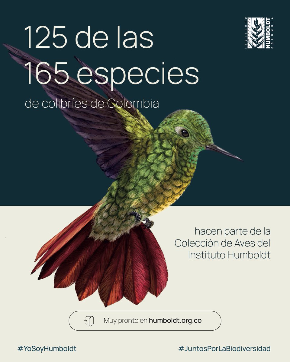 Instituto Humboldt tweet media