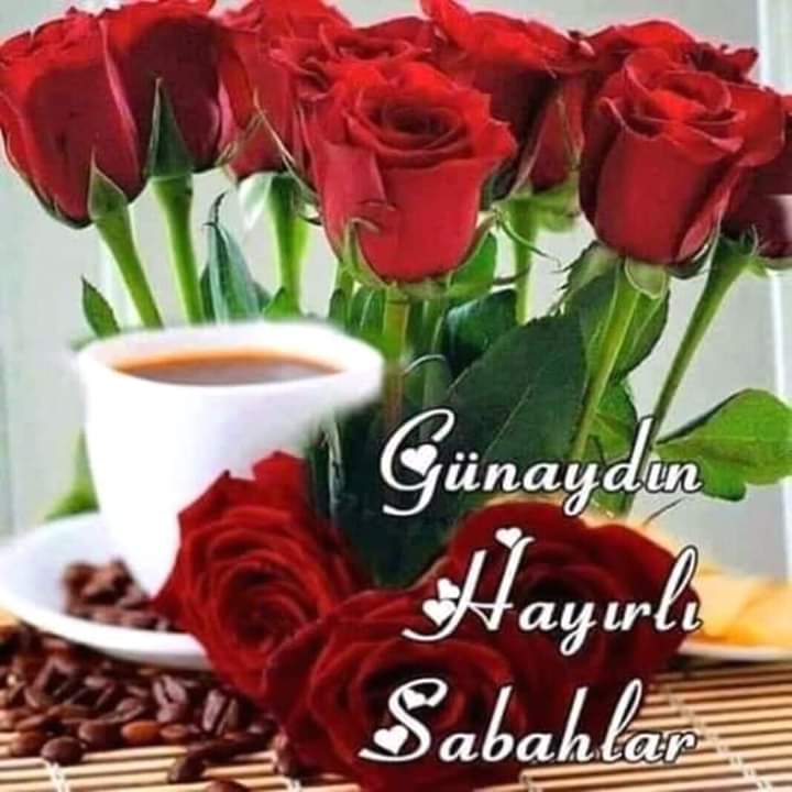 m71n75m98's tweet photo. #Mükemmel ...?
Bir Hayat istediğimiz yok
#Dürüst ...?
İnsanlar,samimi selâmlar,
İçten #gülümsemeler olsun yeter.
#Eskiler derler ya....?
#Herkes yüreğinin ekmeğini yer...
Velhasıl-ı Kelâm Aziz Dostlarım...
Selâmetle Muhabbetle Kalınsağcakla. 
Gönülden Sevgi ve Selamlarımla... https://t.co/r5UZvDl2XW