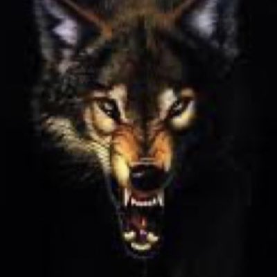 #صورة_جديدة_للملف_الشخصي