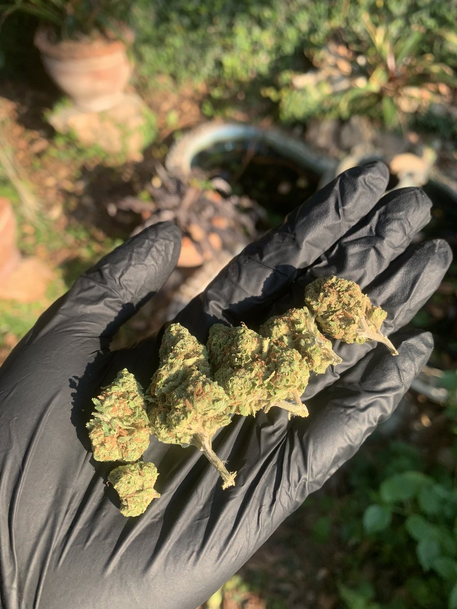 hewweeds's tweet photo. Tangai🥶(Evapเทียบแอร์) 1g47 10+42 บริการปลายทางชนมือนครปฐมติดต่ไลน์https://t.co/XwdO1f5B5I หรือDmได้เลยครับ #นครปฐม #นครปฐมนัดเย็ด #นครปฐมรับงาน #นครปฐมในเมือง #ตัวเมืองนครปฐม #ศาลายา #นครชัยศรี #ราชบุรี #ราชบุรีตัวเมือง #ปะปา #กำแพงแสน #องค์พระนครปฐม #ถนนคนเดินนครปฐม https://t.co/cN0Z8ynELd