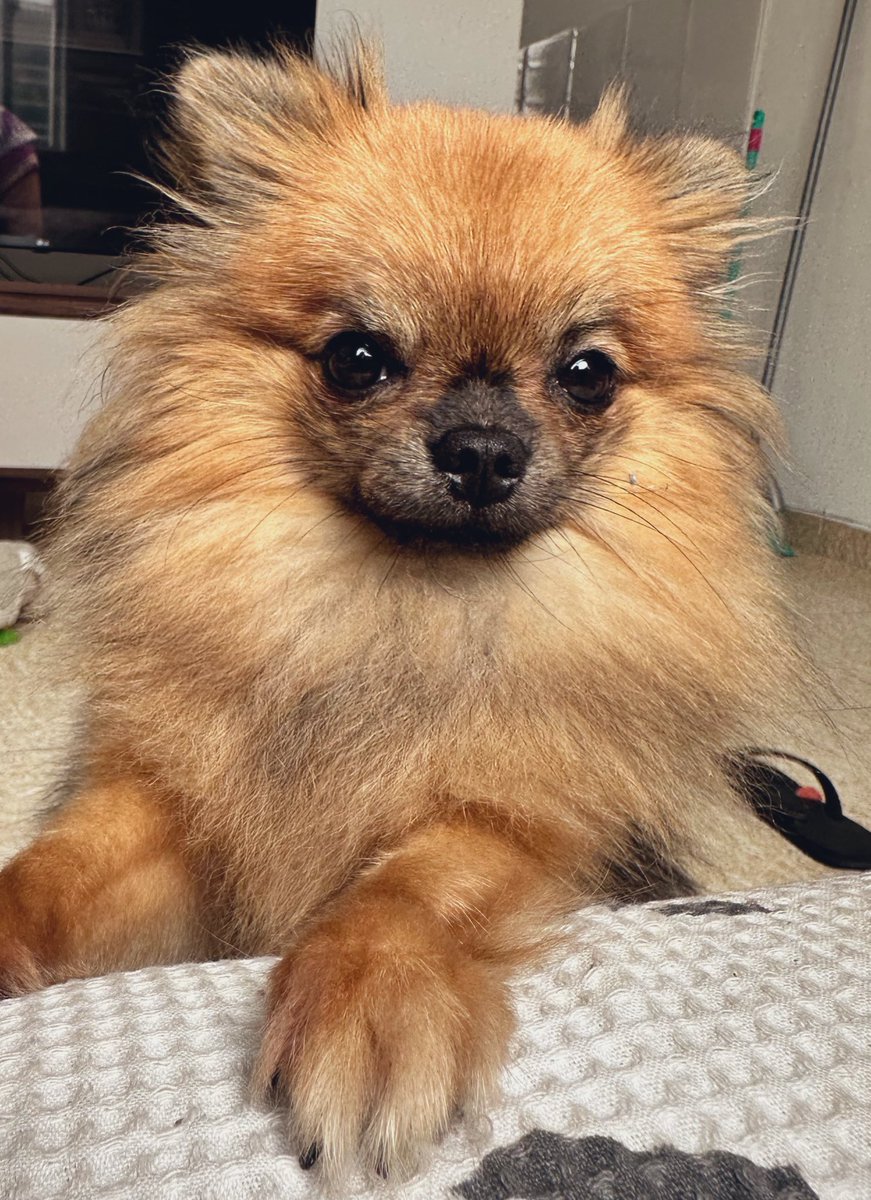 Coisa mais linda dessa vida ❤️