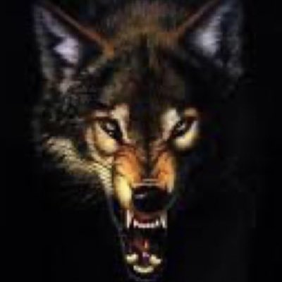 #صورة_جديدة_للملف_الشخصي