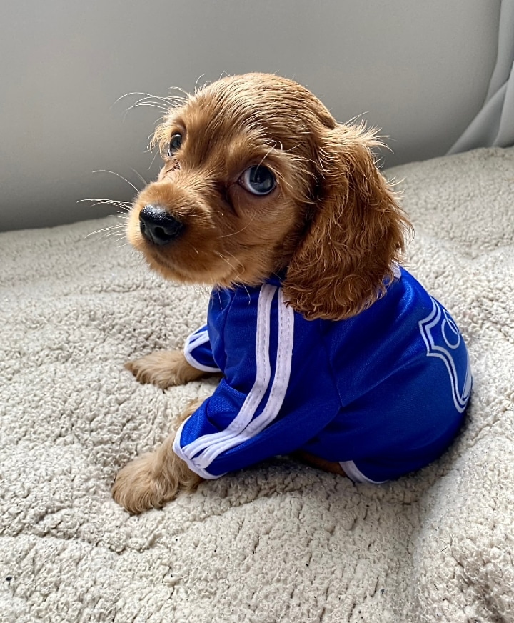 oz_andres's tweet photo. @WinSportsTV Acá señores de win viendo a millós al lado de este perito que también salió de millós #LALIGAxWIN https://t.co/KIc3LKJo4q