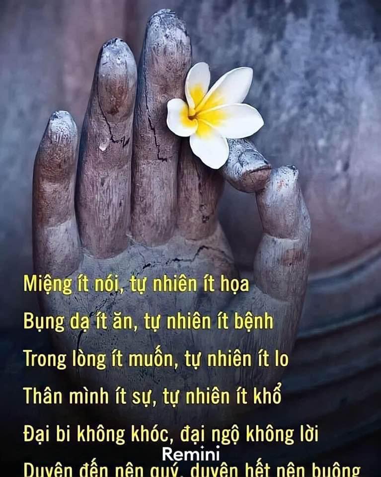 MADALONGO's tweet photo. Last working week of the year
Wish everyone full of energy https://t.co/Mlu0VWpQWt