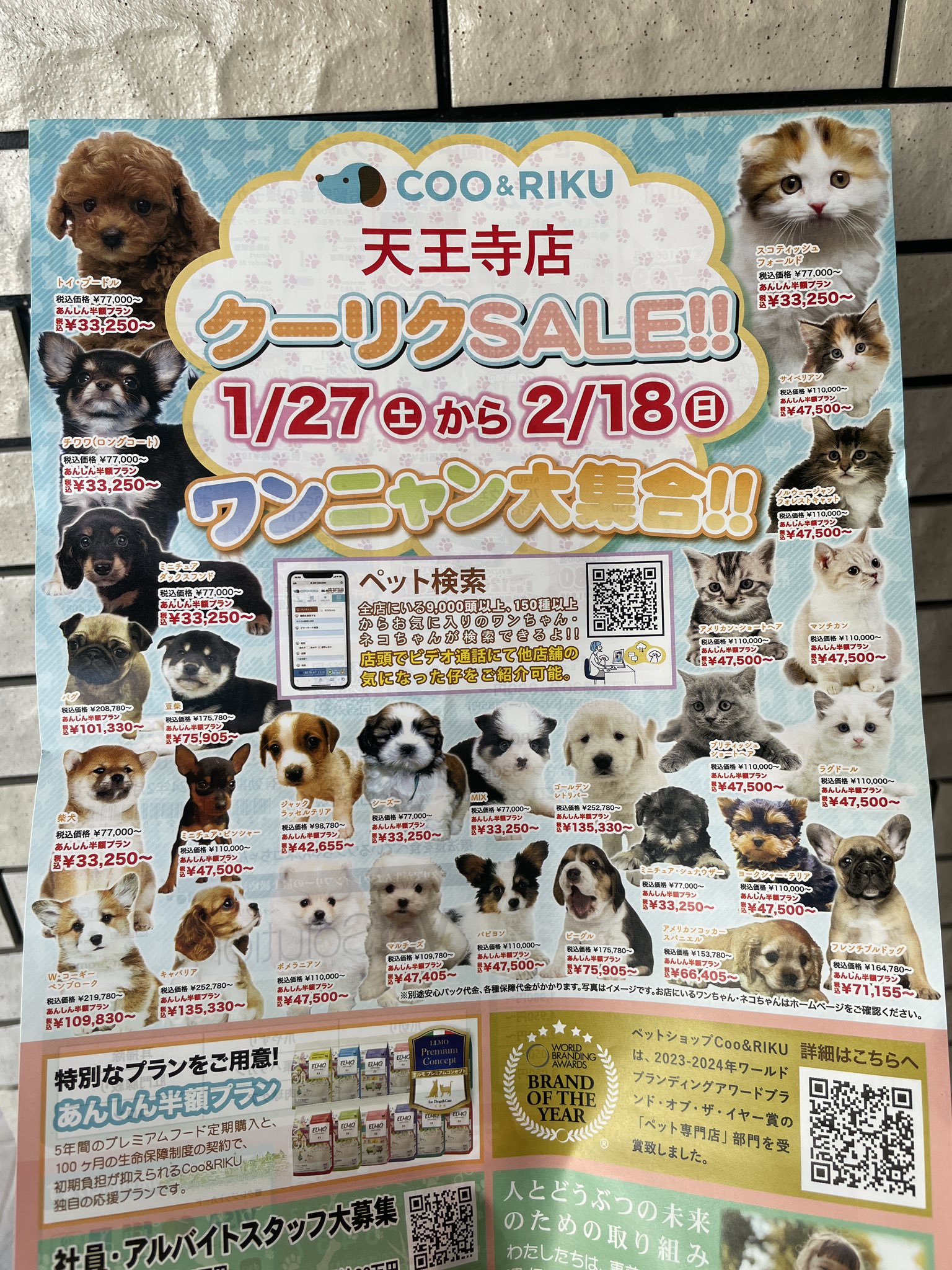 Kitty⭐️整理中の為出品中止ページ/10点 Kitty⭐️整理中の為出品中止様専用ページ/10点